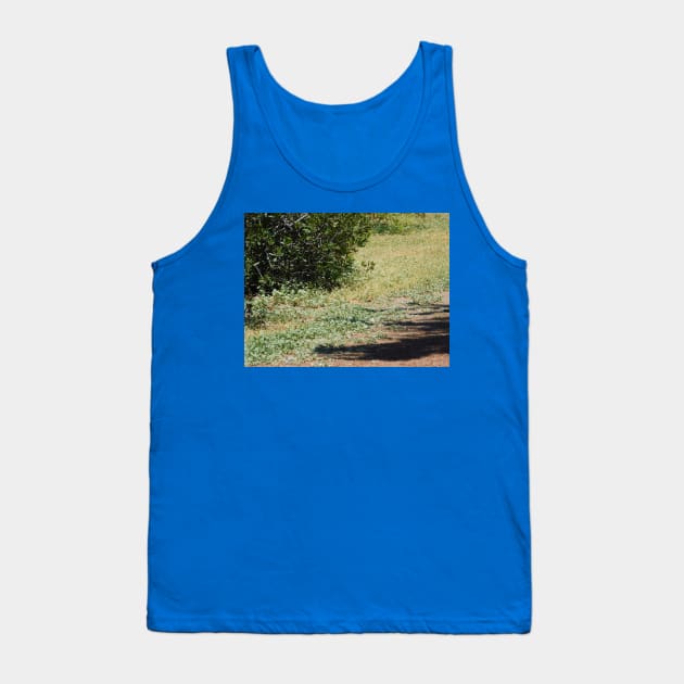 Hidden squirrel Tank Top by FriendlyComputerHelp